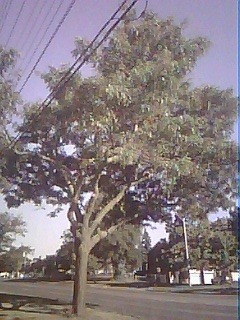 Photo taken with the SNAPX camera