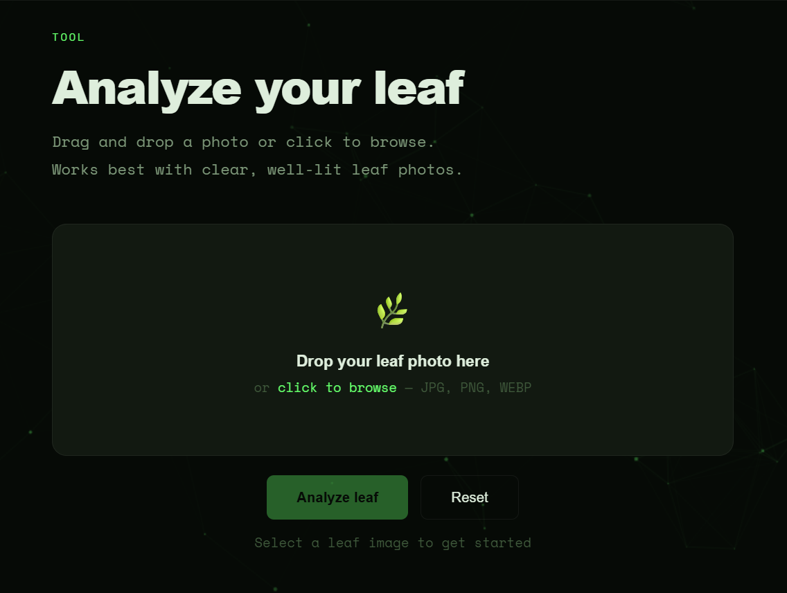 LeafScan AI - analyze your leaf tool screenshot